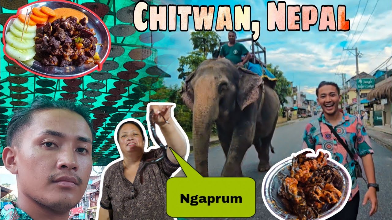 Nepal da Ngaprum charuba😄 /samu maymse/