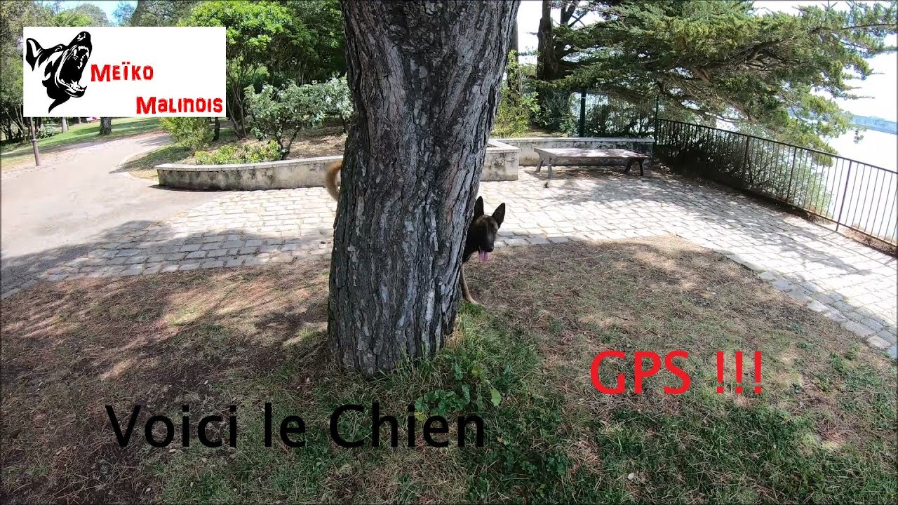 #36 Gauche - #37 Droite - #38 Tout Droit - #39 Demi-Tour (Version 2.0)