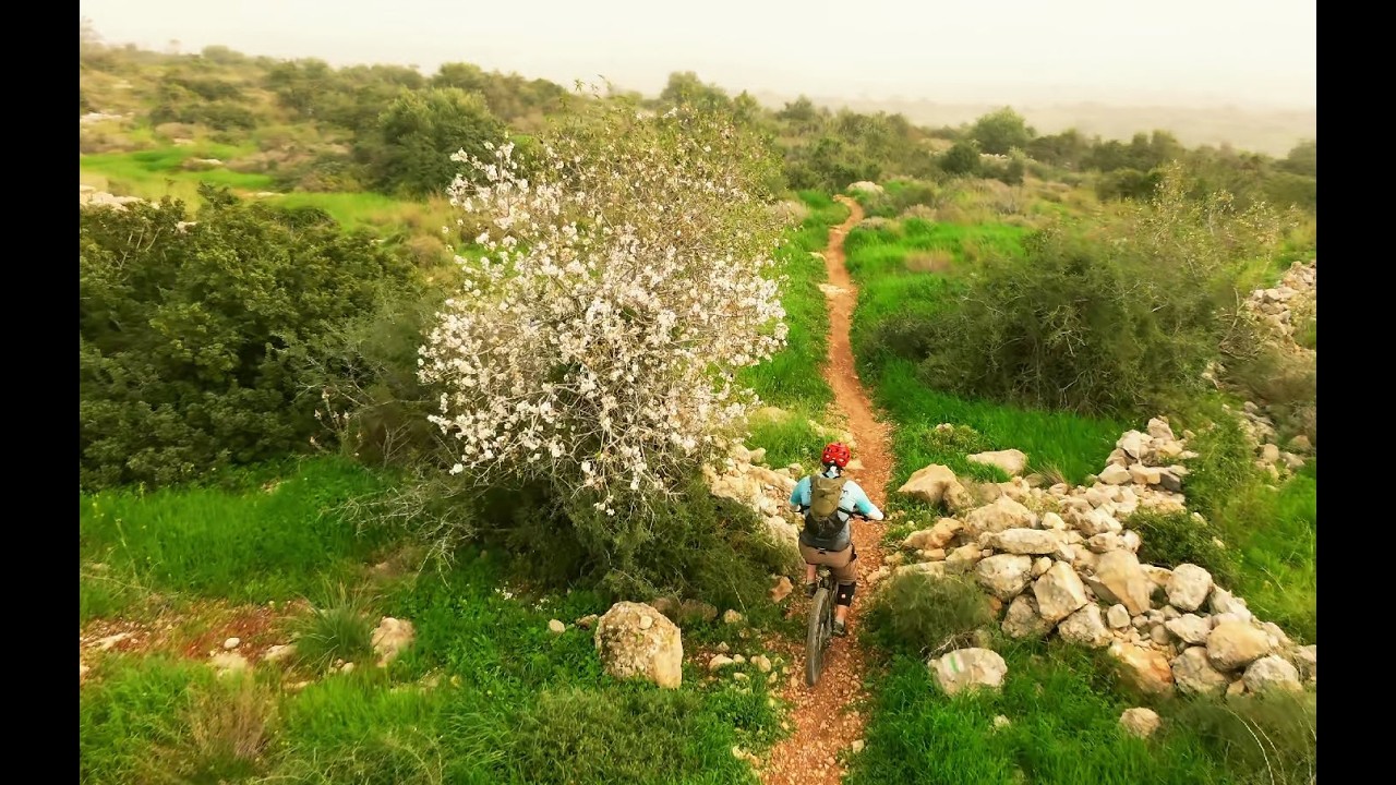 פארק בריטניה