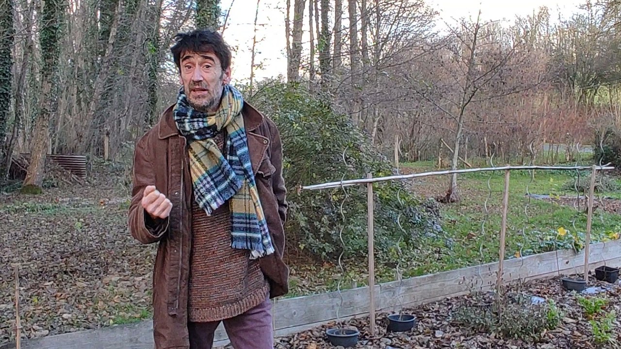 Les feuilles mortes au potager.