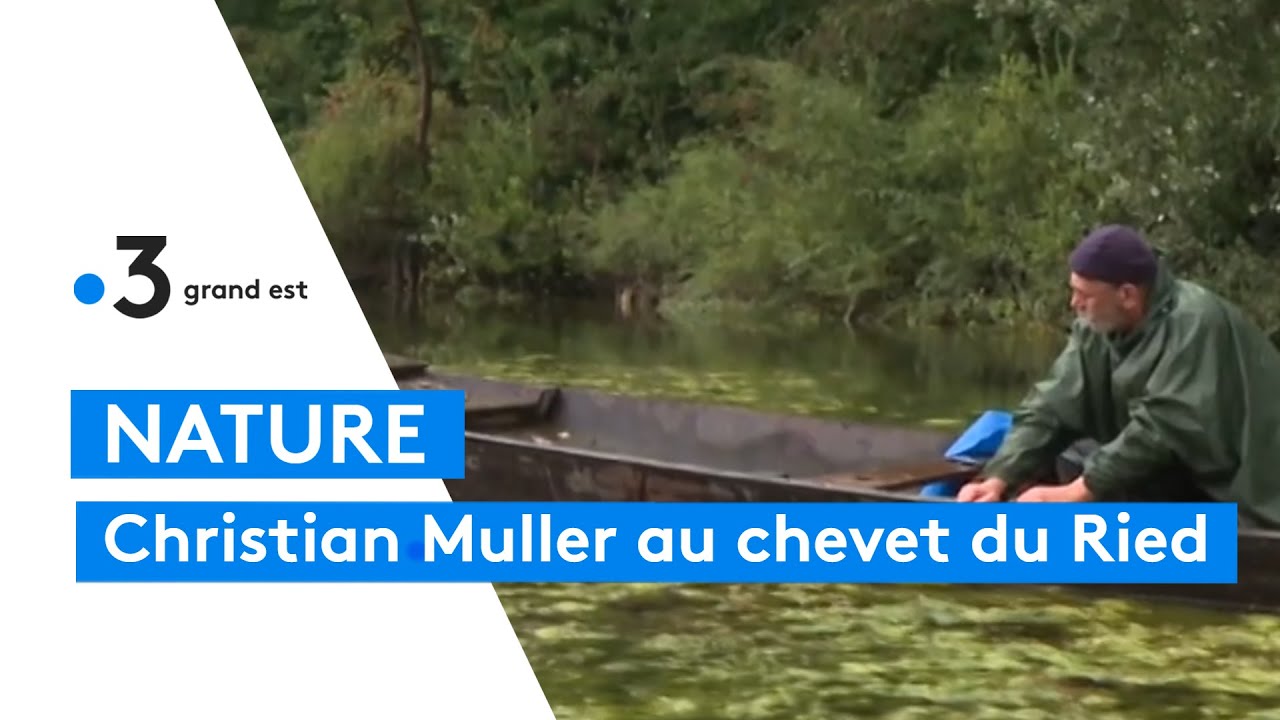Christian Muller filme le Ried par amour pour ce coin d'Alsace