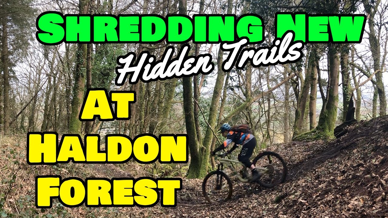 Shredding technical off piste trail at Haldon Forest park