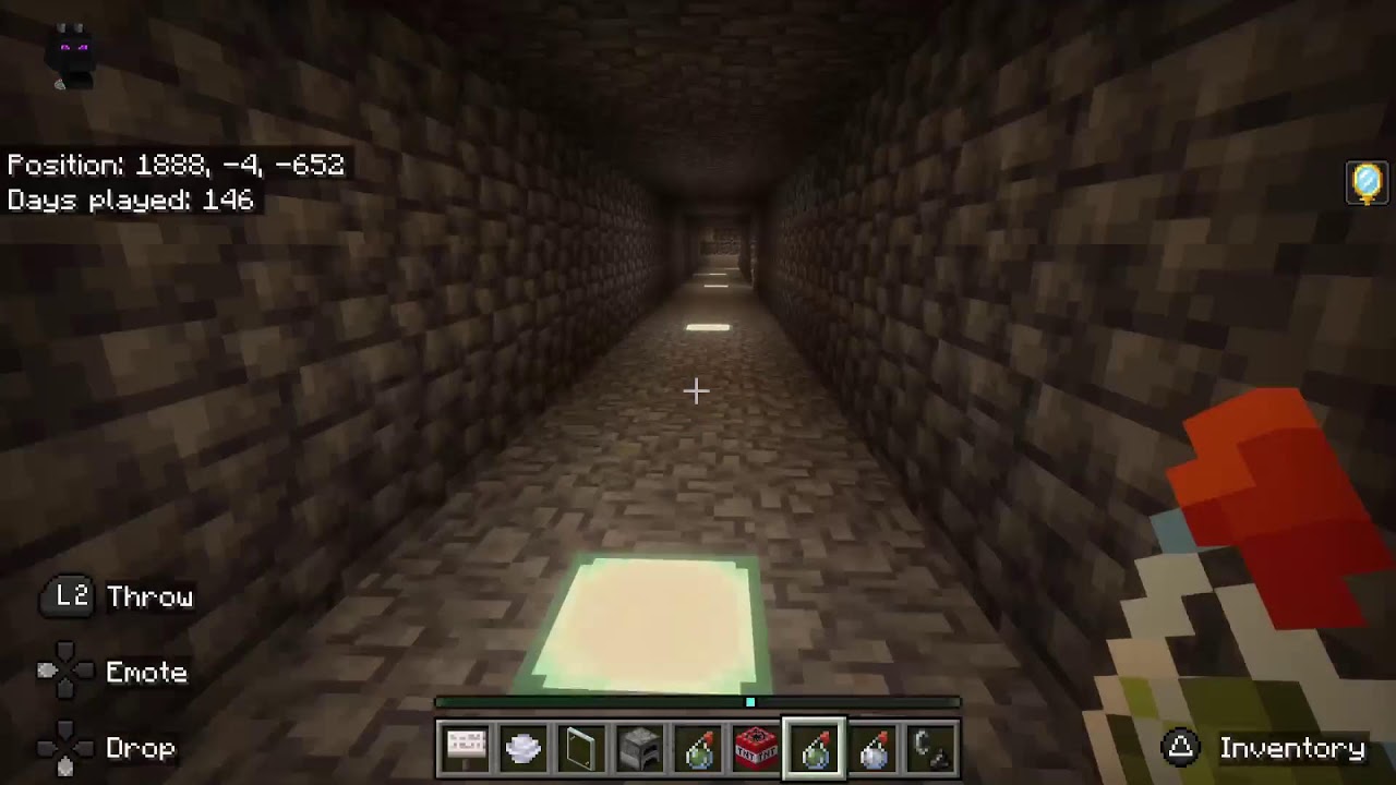 Played a game.Minecraft with my friend.