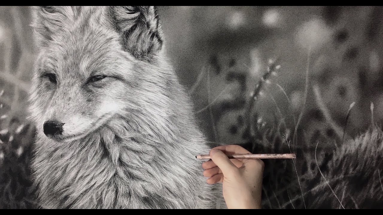 Hyperrealistic Fox Drawing / 50 Hour Time-Lapse