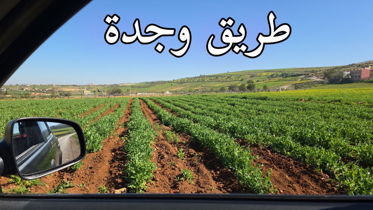 سحر الطبيعة اقليم بركان طريق وجدة  
