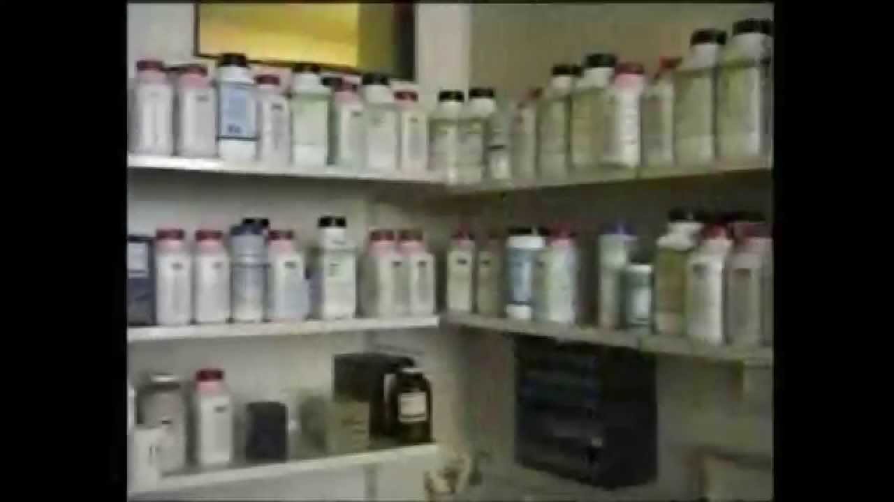 Introduction To Practical Microbiology - Laboratory