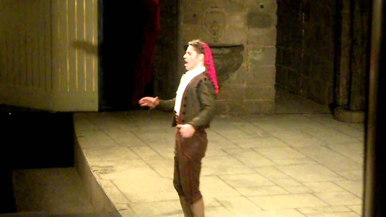 Markus Werba - Il barbiere di Siviglia - Largo al factotum della città...