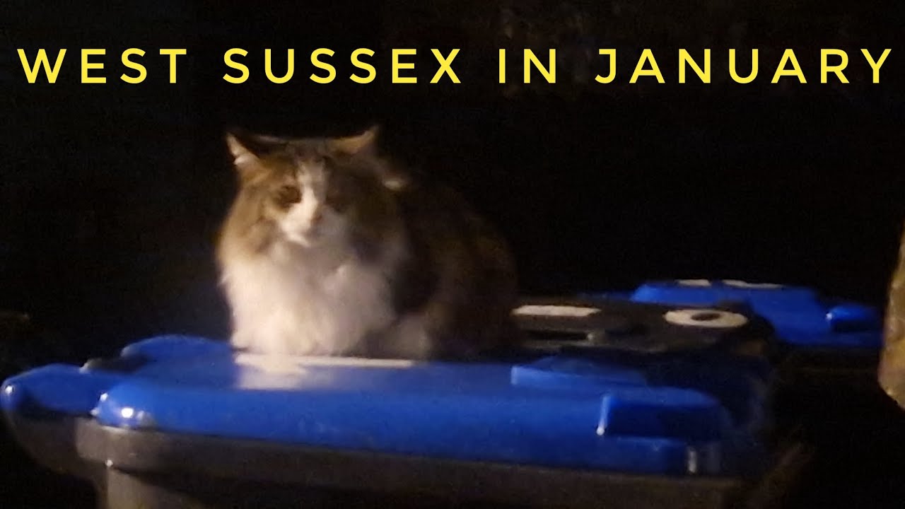 Worthing and Beyond (Tuesday Totally Sussex)