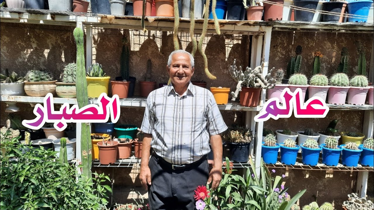 عالم الصباريات الجميل