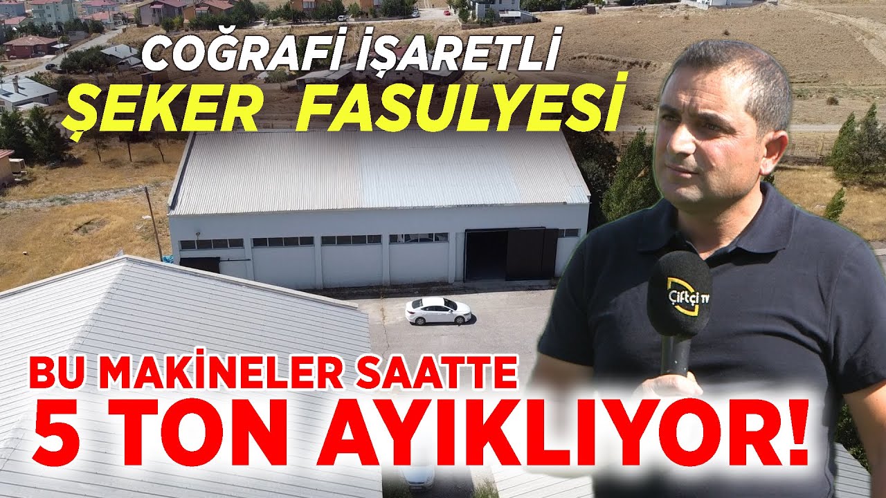 Bu Makineler Saatte 5 Ton Ayıklıyor!  Coğrafi İşaretli Şeker Fasulyesi- Tarımda Hayat