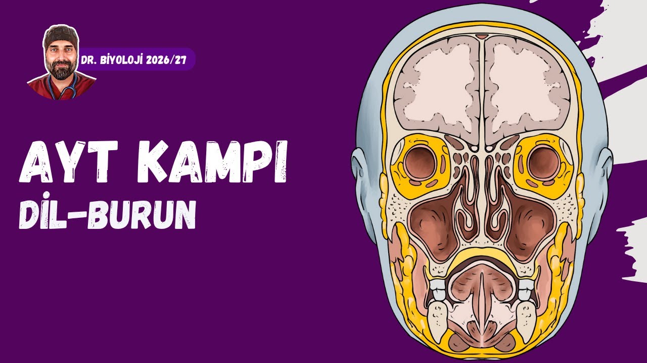 Duyu Organları Dil Burun | Dr. Biyoloji | AYT Dönem 2026 - 2027