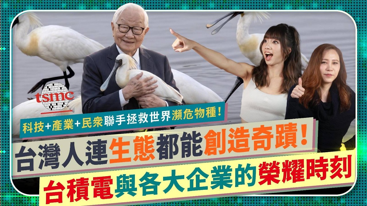 台灣人超強科技！👍拯救世界瀕危物種！【台積電不只是護國神山，還用三奈米規格救小魚！】企業聯手民眾，共創Taiwan的榮耀時刻！不只黑面琵鷺和螢火蟲，見證台灣生態如何震撼全球的奇蹟！國際政經291