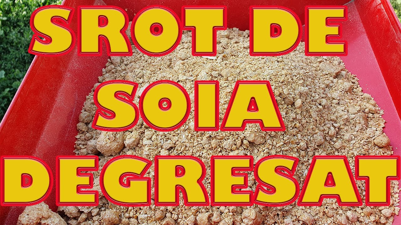 Srot De Soia Degresat (5% MAX.) - Cum Arata, Cum Se Macina, Proprietati -Totul Despre Beneficii 100%