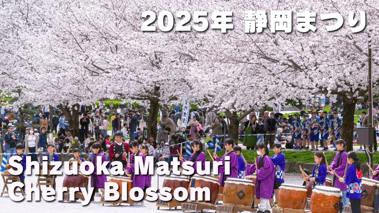 2025年 静岡まつり - Shizuoka Matsuri / Sumpu Castle Park / Cherry Blossom / Sakura / Japan