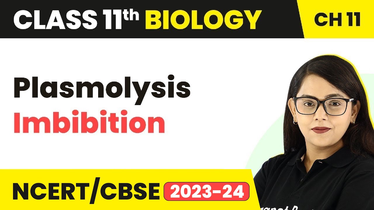 Plasmolysis Imbibition - Transport in Plants | Class 11 Biology