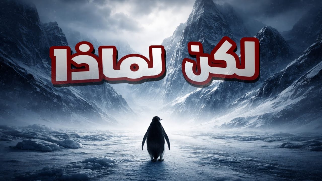 البطريق العدمي | Nihilist Penguin