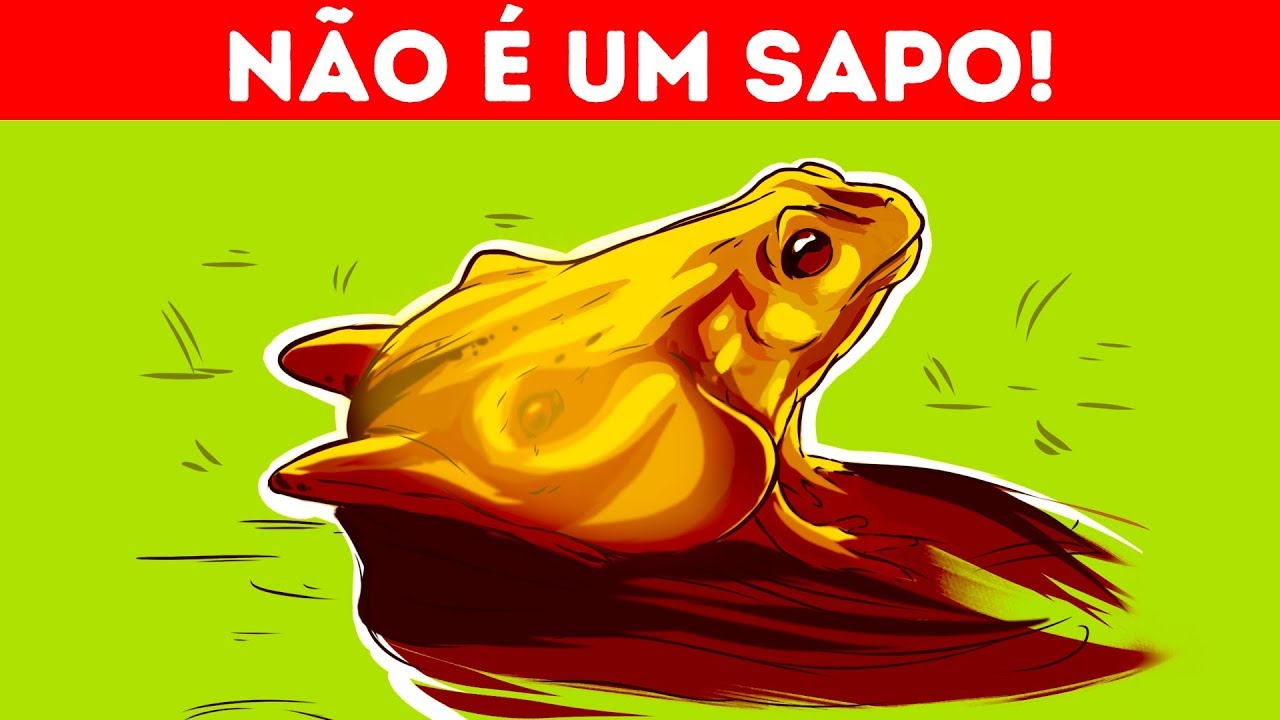 11 Ilusões De Ótica Que Vão Revelar A Sua Personalidade