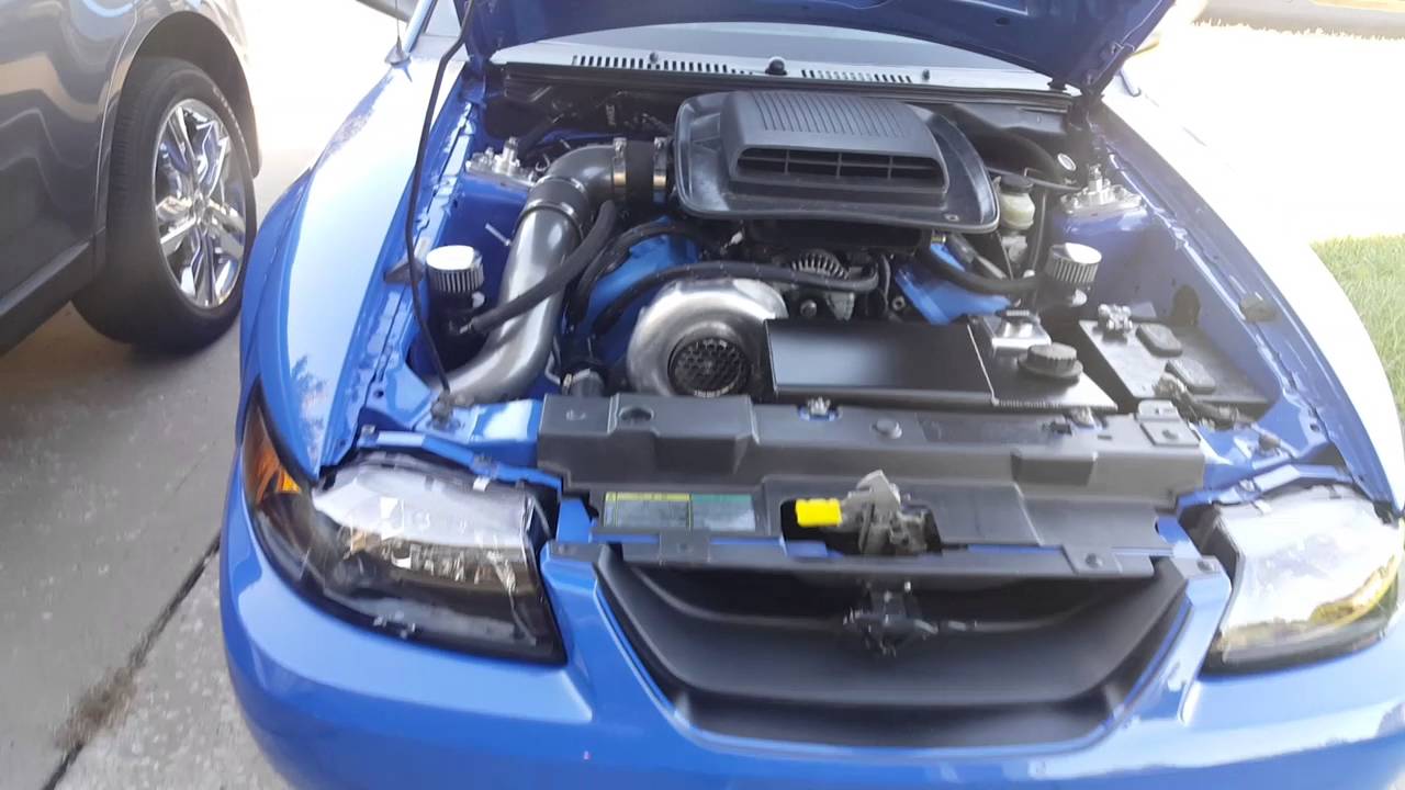 2004 procharged Mach 1 mustang.