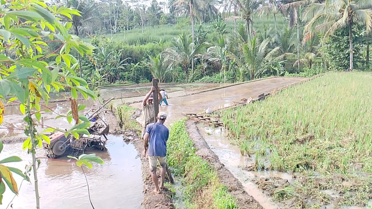 Yanmar lotari tua mbajak lahan dangkal,,