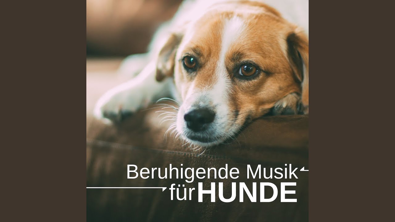 Hypnotische Musik