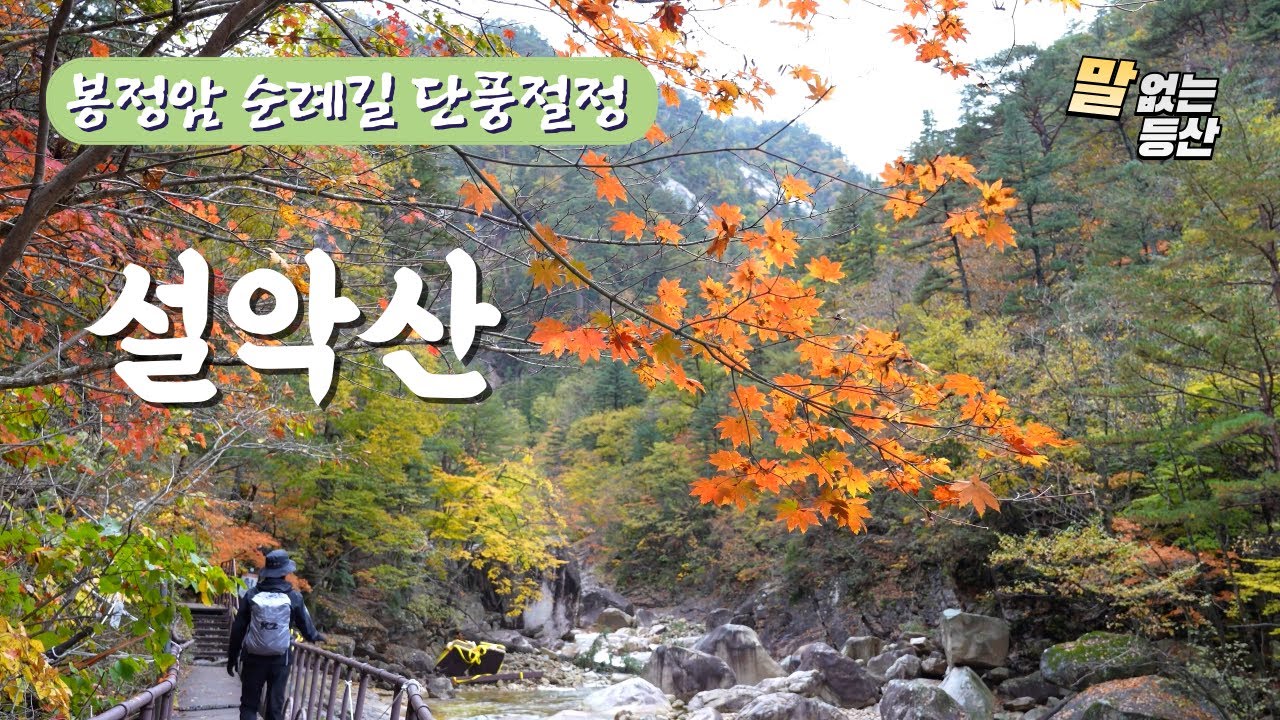 설악산 봉정암 단풍 산행 영상입니다 수렴동 계곡 폭포들 곱게 물든 단풍 가득 담아 왔습니다