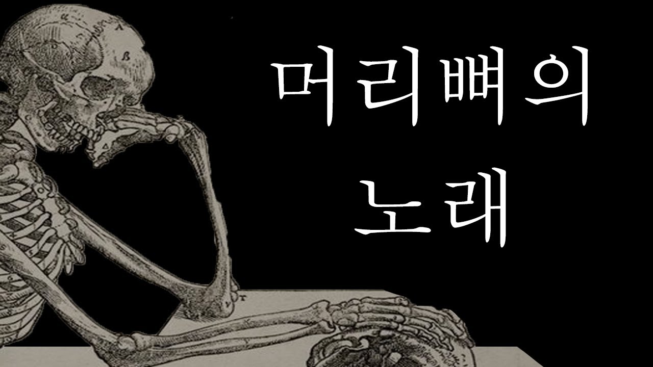 [해부학 1]  머리뼈의 노래