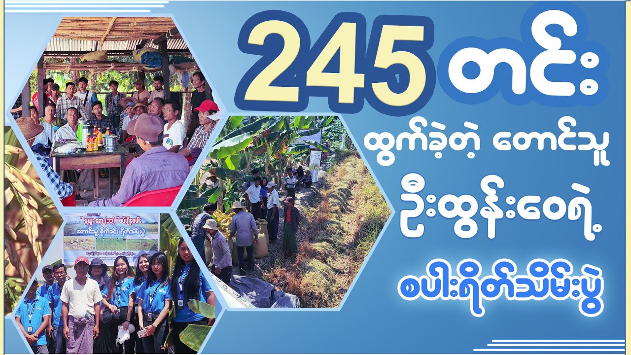 နယူးဧရာ-၁၁ကို ၁ဧက ( ၂၄၅ ) တင်းထွက်ခဲ့တဲ့ တောင်သူနှင့်တွေ့ဆုံခြင်း 👏✨