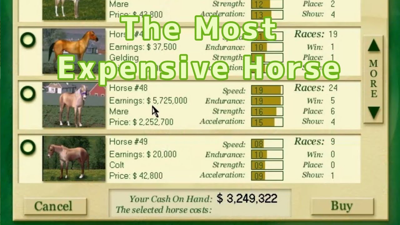 Daily Racing Form: Horse Racing PC Game Guide: Buying the Most Expensive Horse (Part 9)