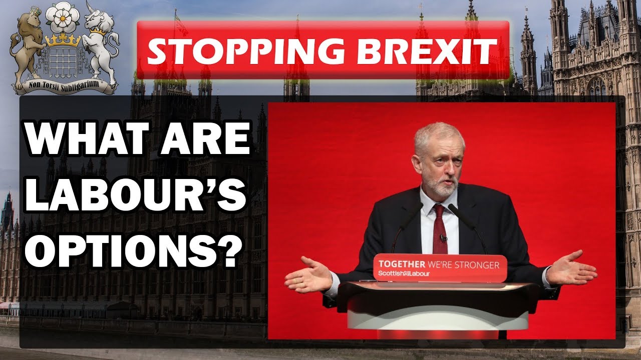 What Are Labour's Brexit Options?
