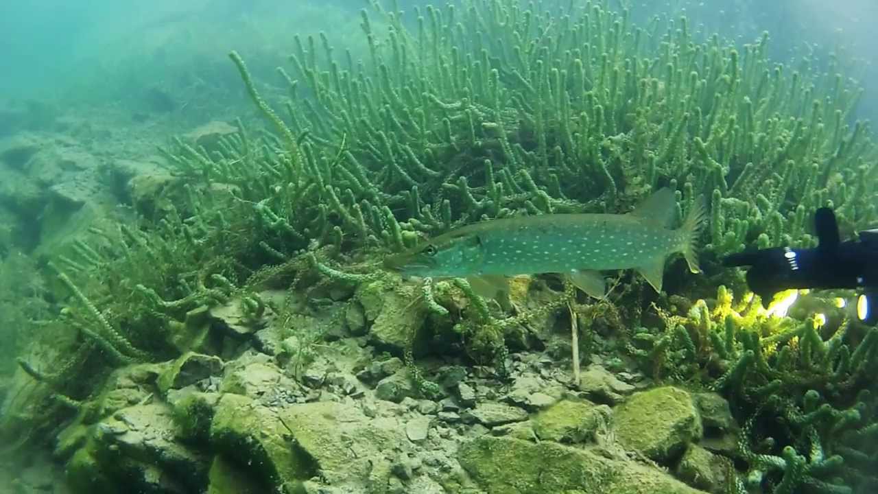 Présentation de la carrière de Floreffe