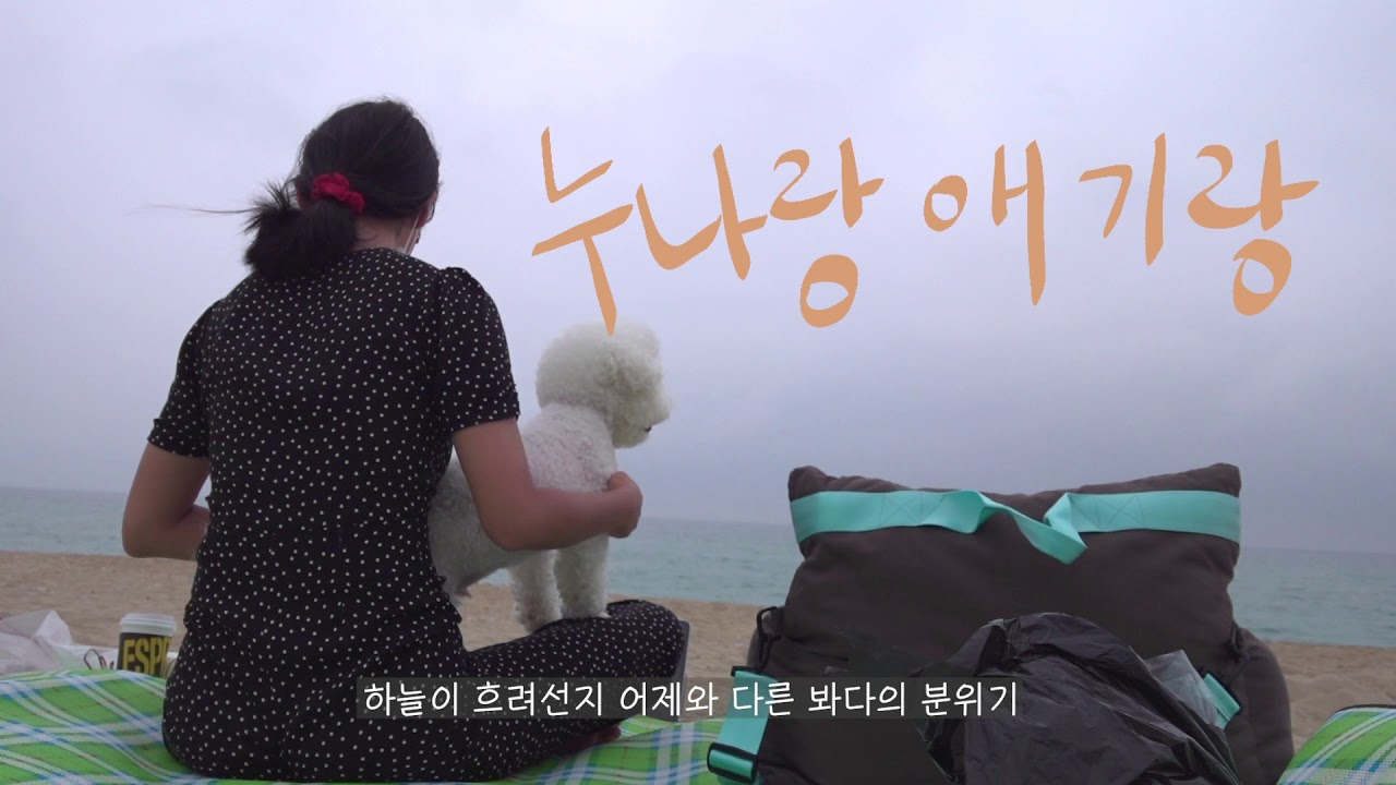 부이로그꧁⍢⃝꧂ 영혼의 단짝 강쥐랑 바다로 훌쩍 떠나자!  아이스크림 만들고 산도 타고 잘 먹고 콘서트도 잘 했습니다다당! ⏝̄̈（ゝ。&part;）