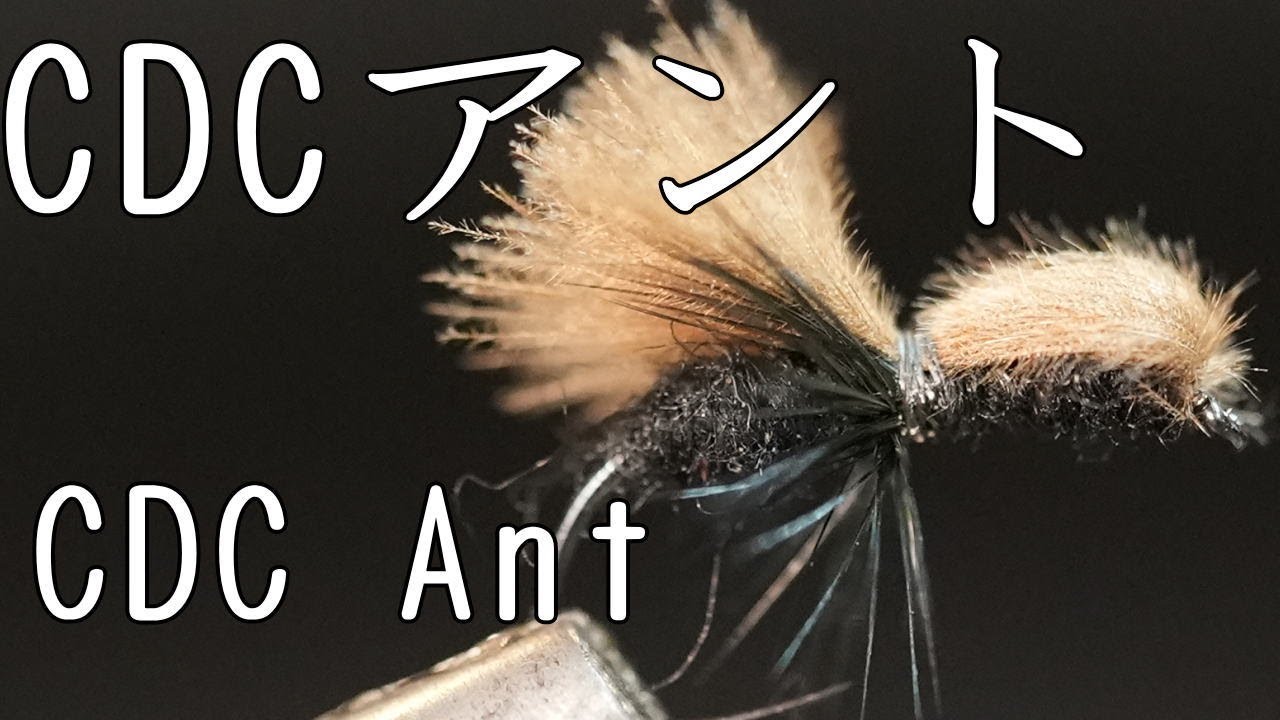CDCアント　Cdc Ant FlyTying フライタイイング