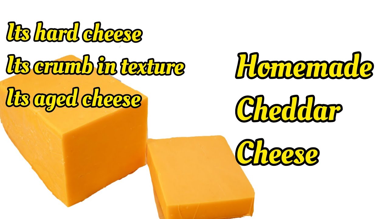 How to make Homemade Cheddar Cheese Recipe |  Easy & Cheap Cheese at Home with 3 Ingredient