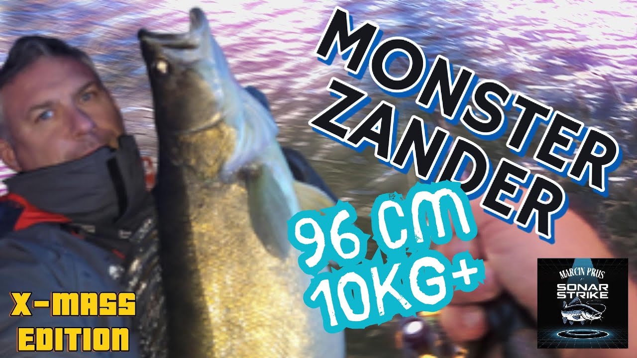 Sonar Strike - Monster Zander 10kg+, 96 cm! Monstrualny sandacz z Odry!