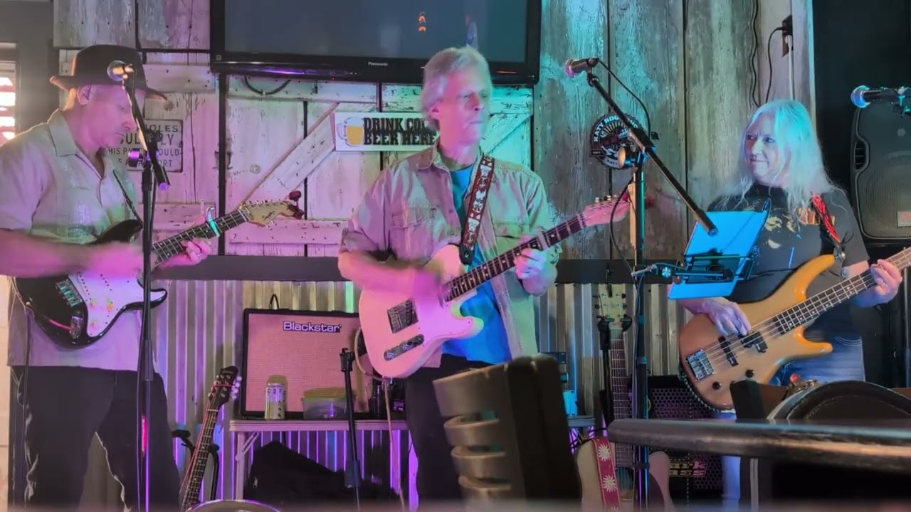Harrisees - Sick Of Myself (Matthew Sweet cover)