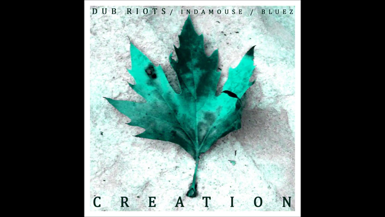 Dub Riots - Rat a Cut