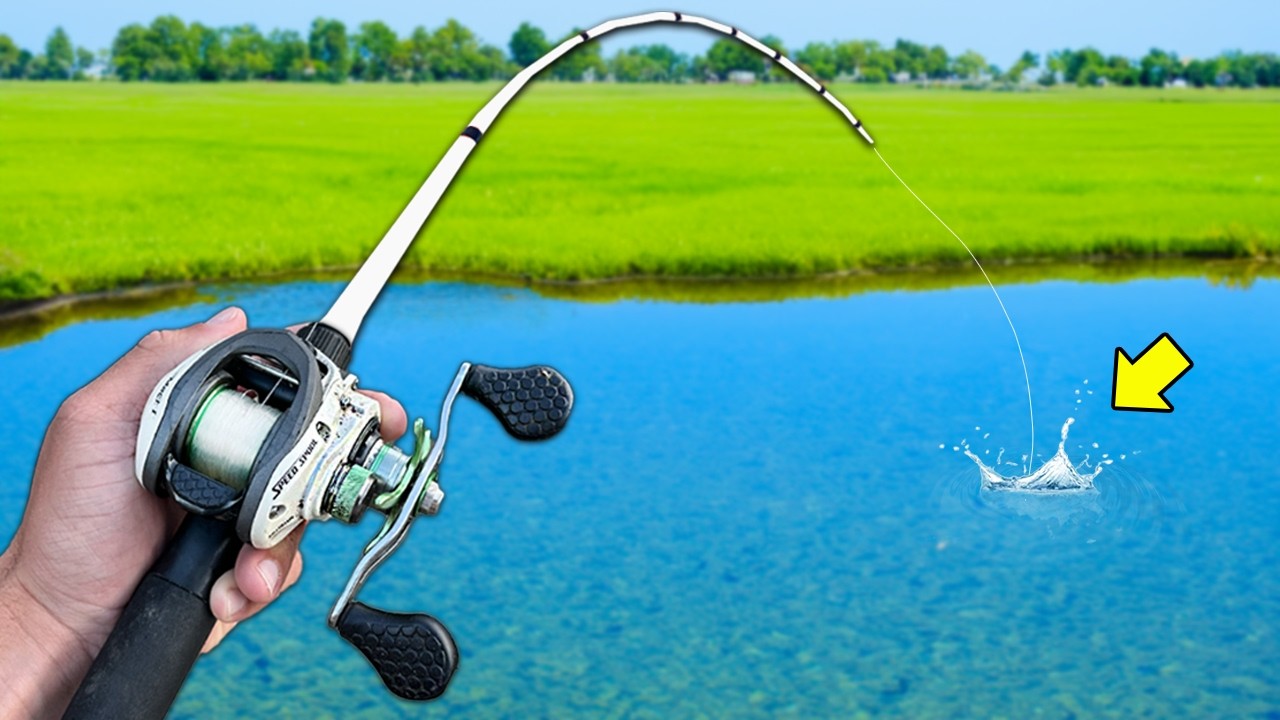 Fishing w/ Topwater Lures for Aggressive Bass!