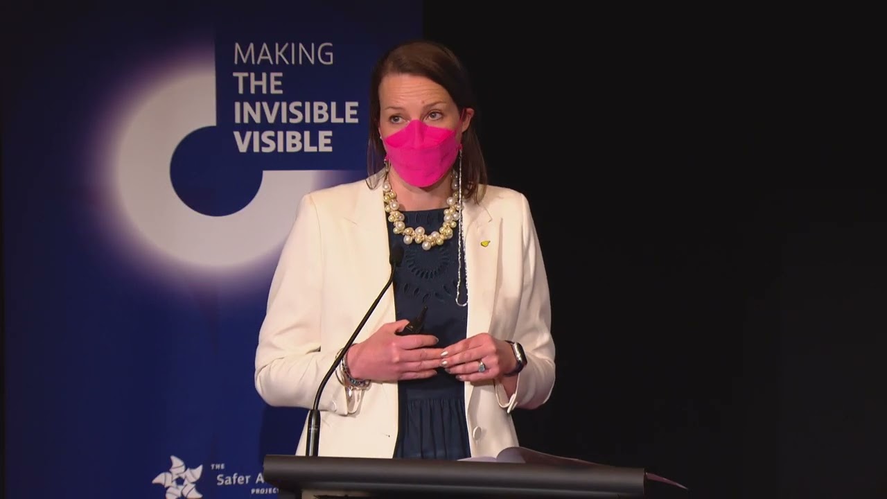1 | Introduction to the Safer Air Project | Plum Stone | Safer shared air 2025