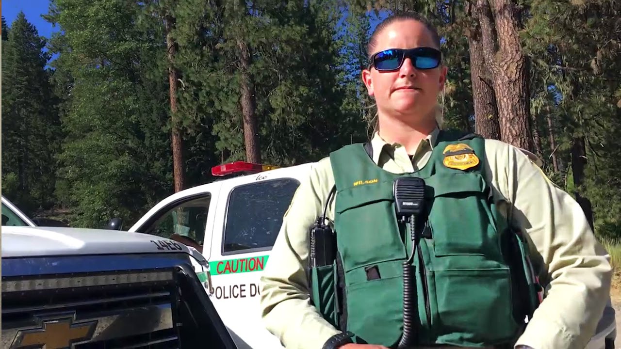 Taking on the Kings Forest Police!