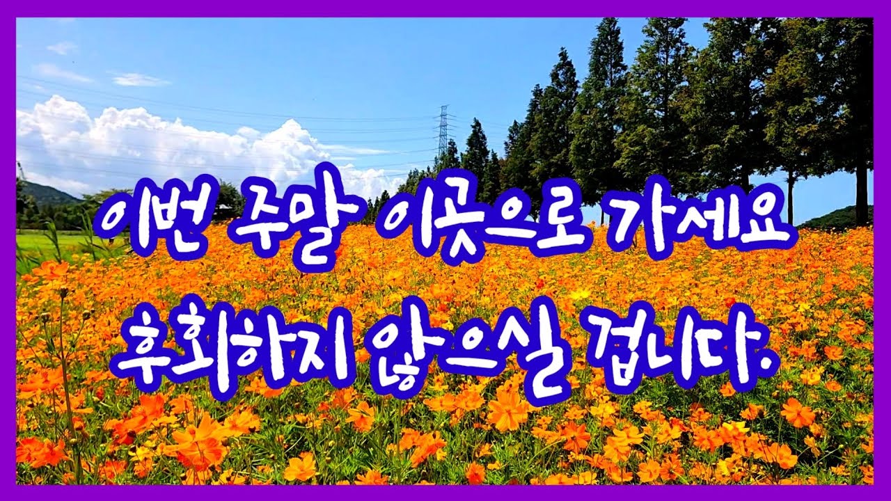 25. 08. 19. 이번 주말 이곳으로 가세요~ 후회하지 않으실 겁니다.