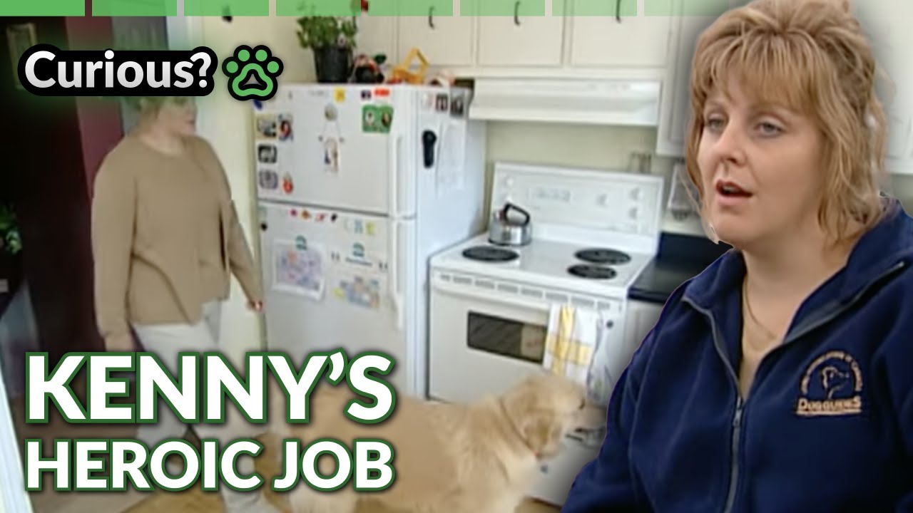 The World of Hearing Dogs | Dogs With Jobs