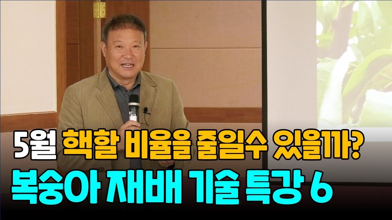 복숭아 재배 기술특강6 핵할 비율을 줄일수 있을까?