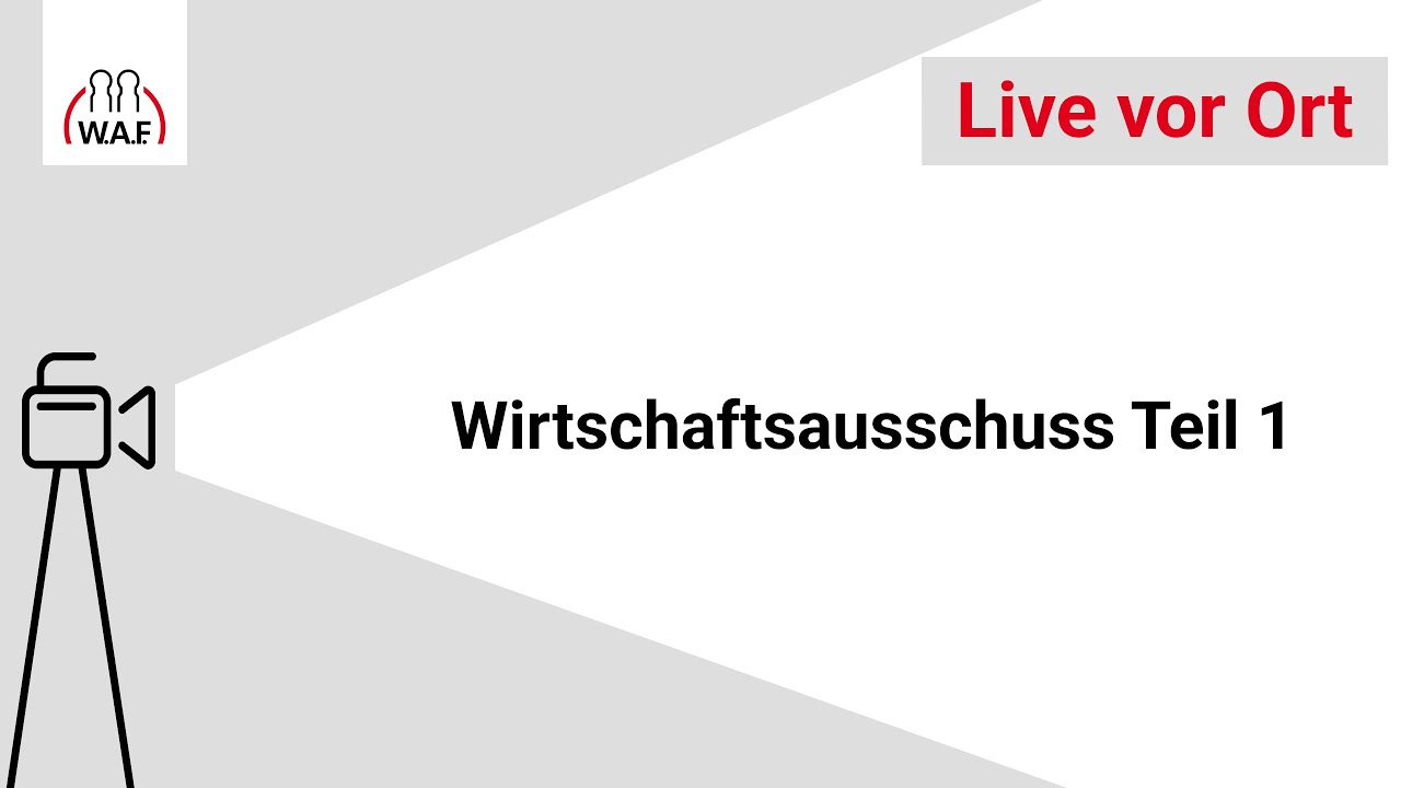 Wirtschaftsausschuss Teil 1 | W.A.F. live vor Ort
