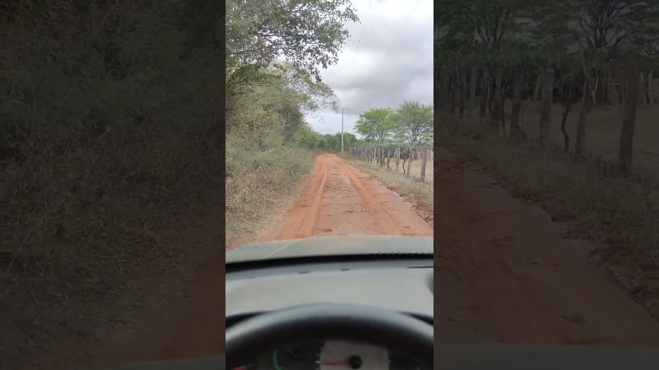 Estrada Molhada