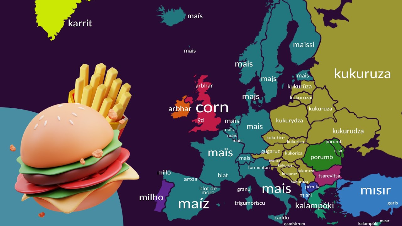 FOODS - Comparison of European Languages