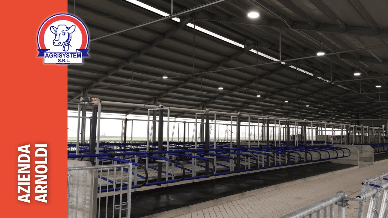 Realizzazione Stalla - Agrisystem srl premiata dalla Provincia di Mantova
