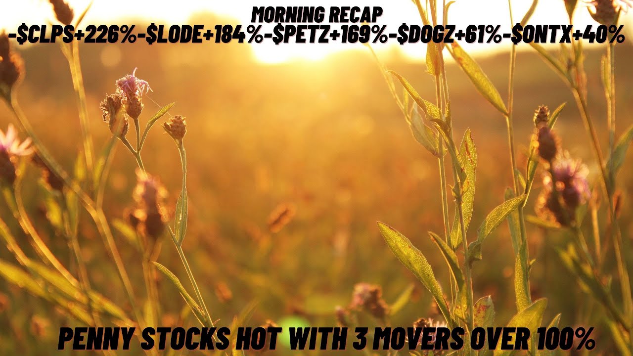 Morning Recap-#CLPS+226%-#LODE+184%-#PETX+169%-#DOGZ+61%-#ONTX+40%
