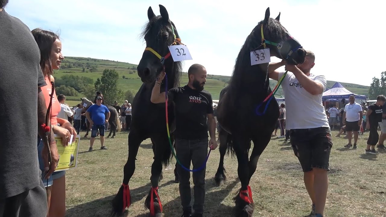 Parada de cai Bradeni, Sibiu 8 Sept 2025 Nou!!!