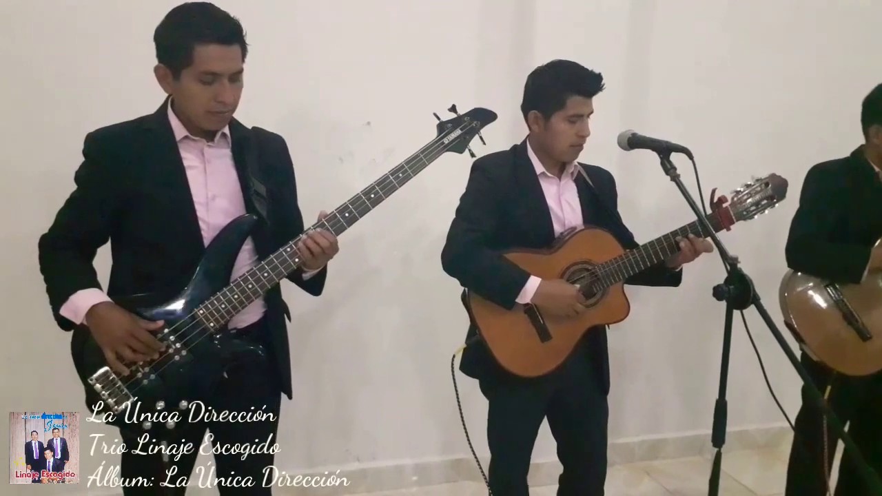Trio Linaje Escogido - La Única Dirección