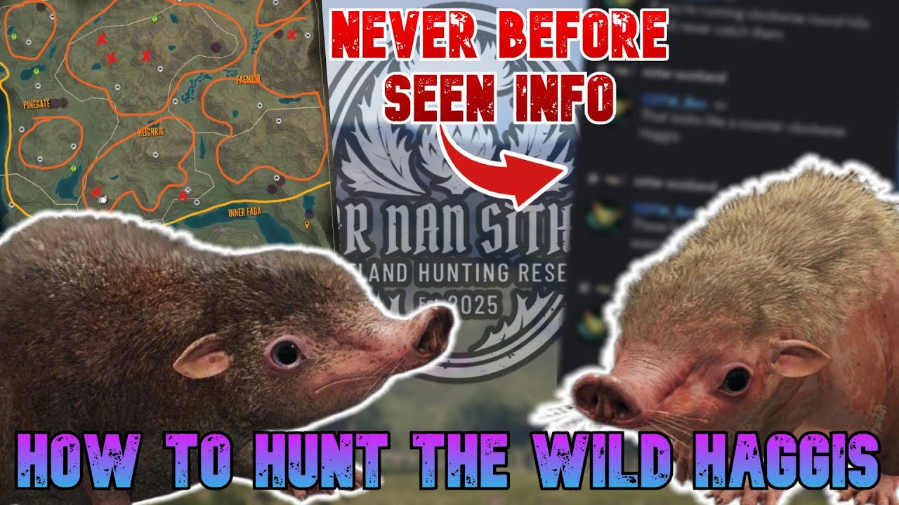 NEVER BEFORE SEEN INFO! How To Hunt Down The WILD HAGGIS - The Hunter Call of the Wild